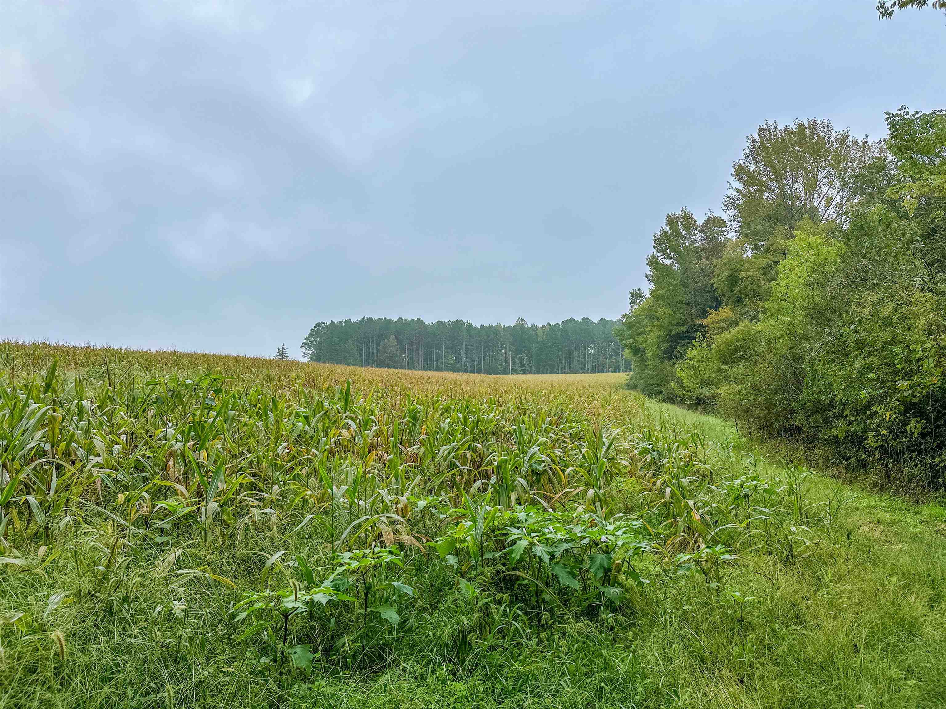 Tbd Courthouse Road Palmyra, VA 22963 - Photo 36 of 40 a view of lake and mountain