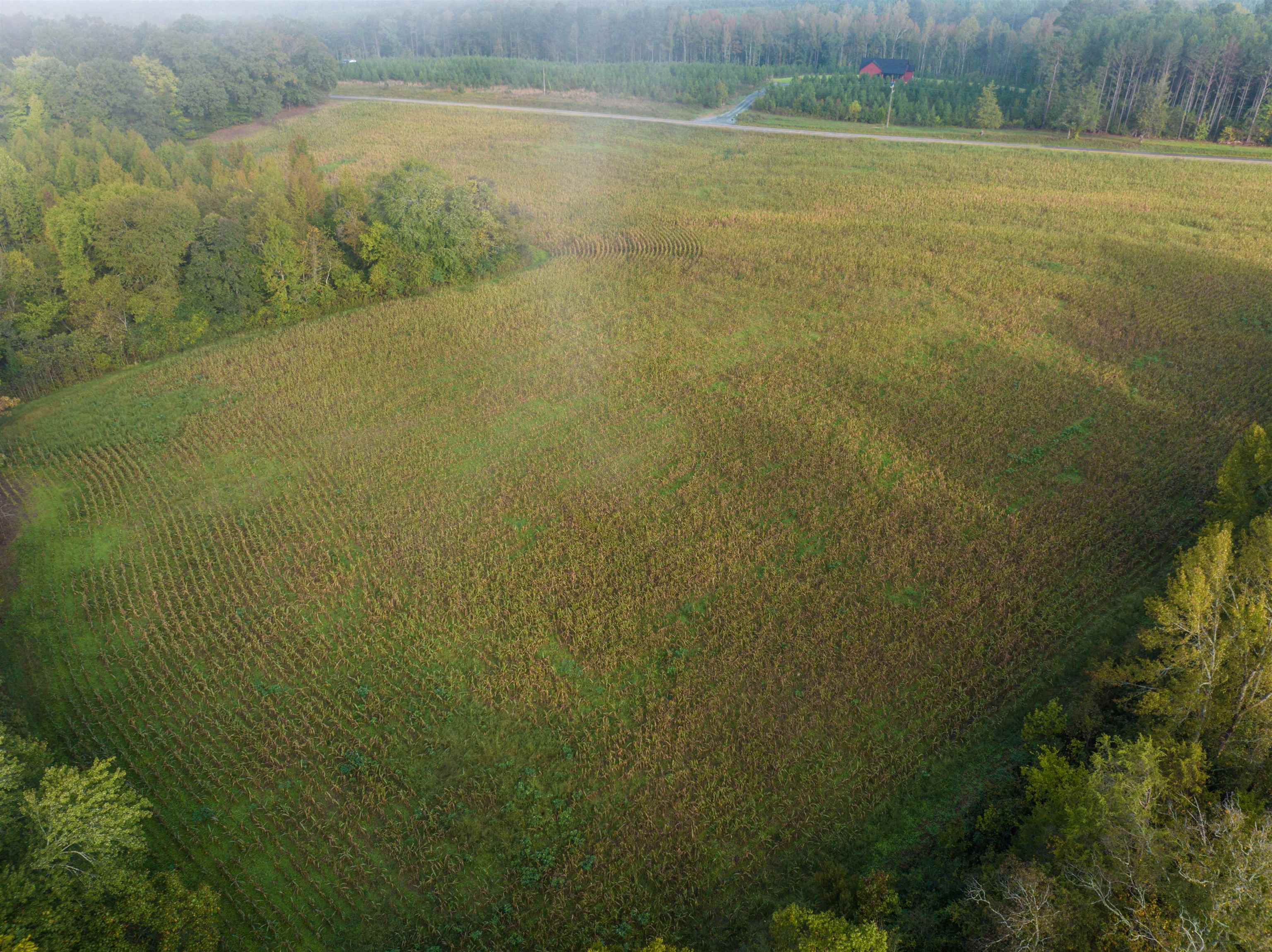 Tbd Courthouse Road Palmyra, VA 22963 - Photo 4 of 40 a view of an ocean and beach