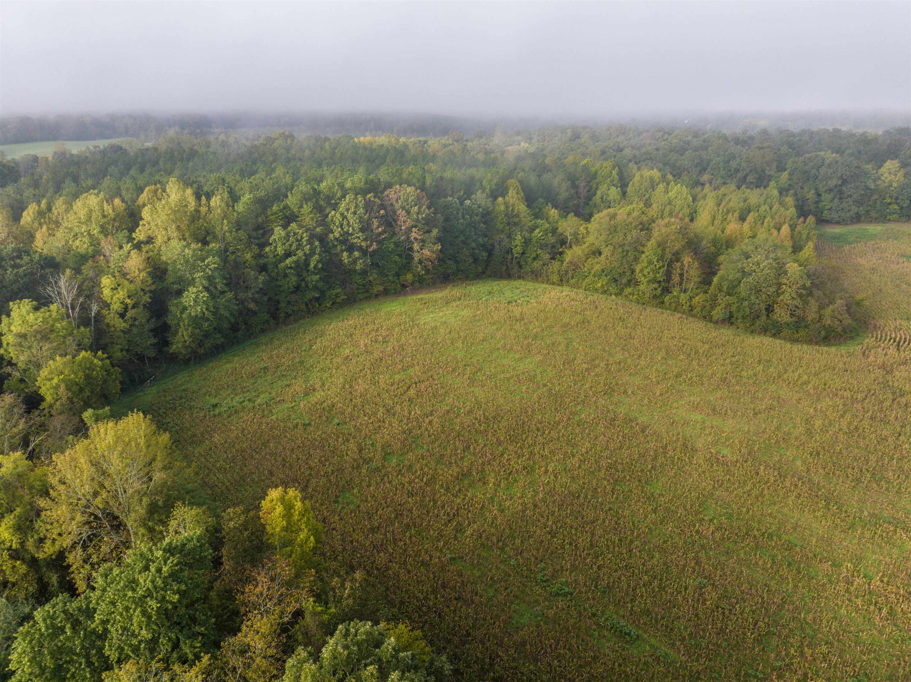 Tbd Courthouse Road Palmyra, VA 22963 - Photo 5 of 40 a view of a lake with a mountain in the background