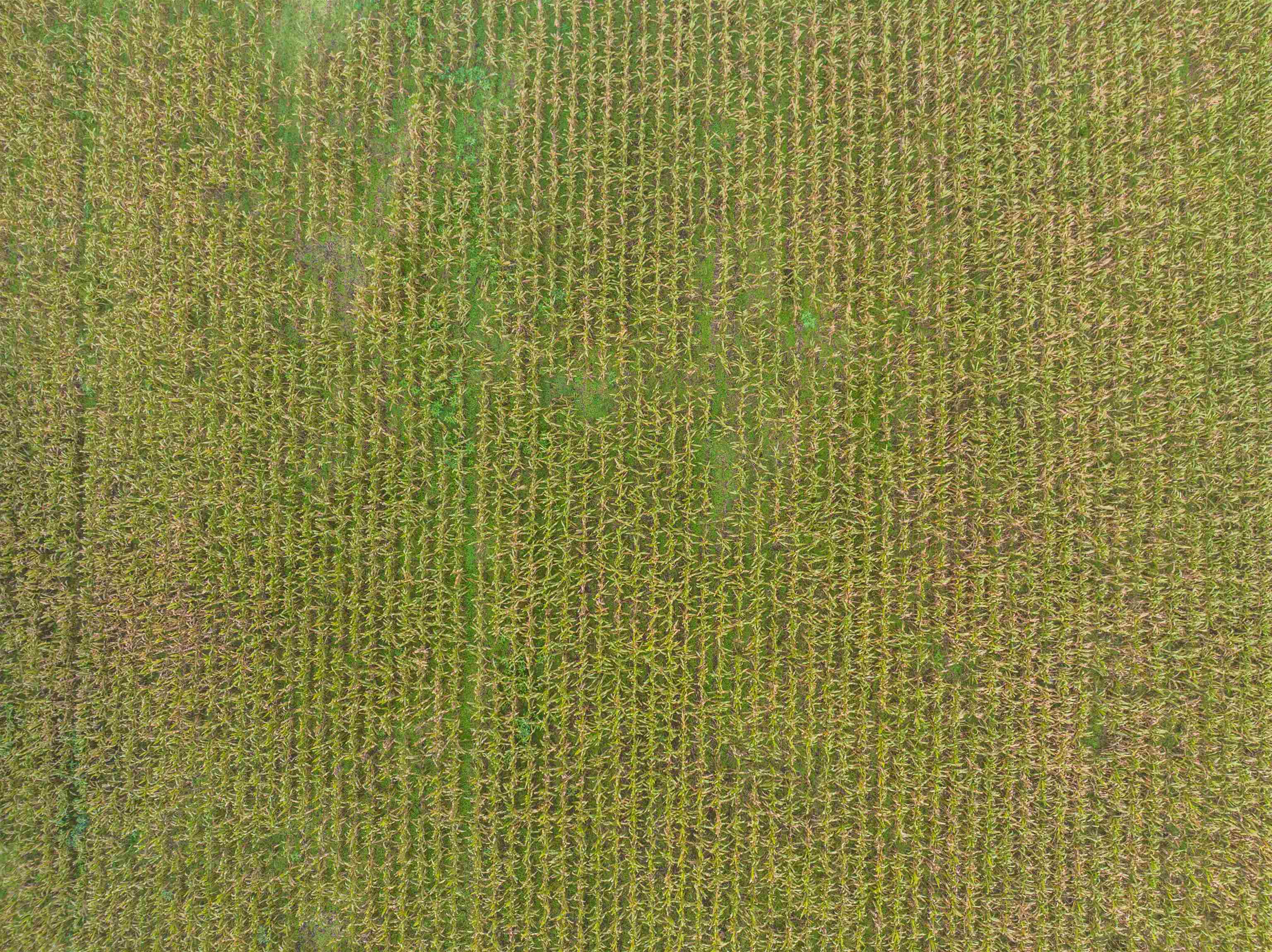 Tbd Courthouse Road Palmyra, VA 22963 - Photo 6 of 40 a bathroom with a shower