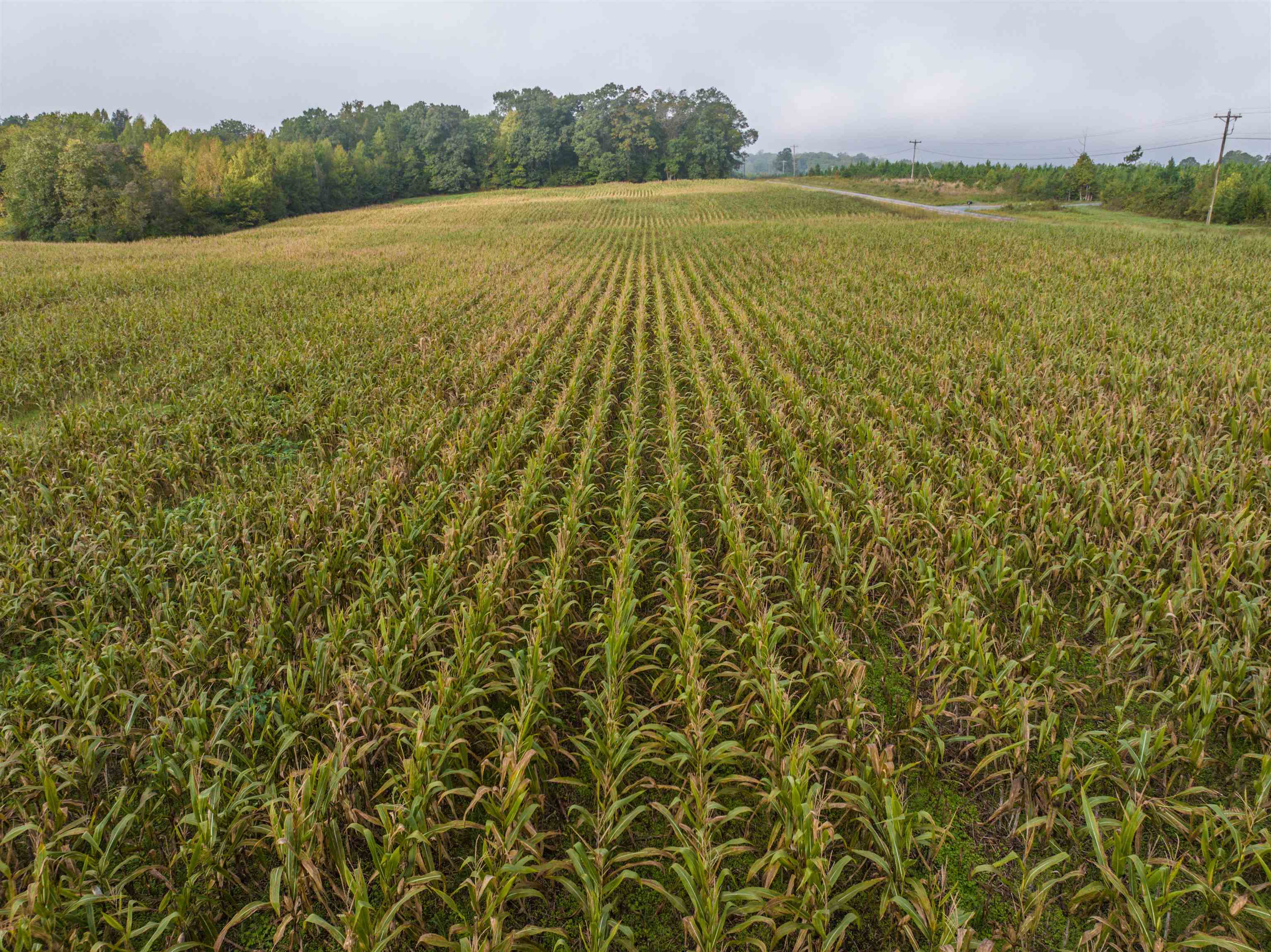 Tbd Courthouse Road Palmyra, VA 22963 - Photo 7 of 40 a view of an ocean from a balcony