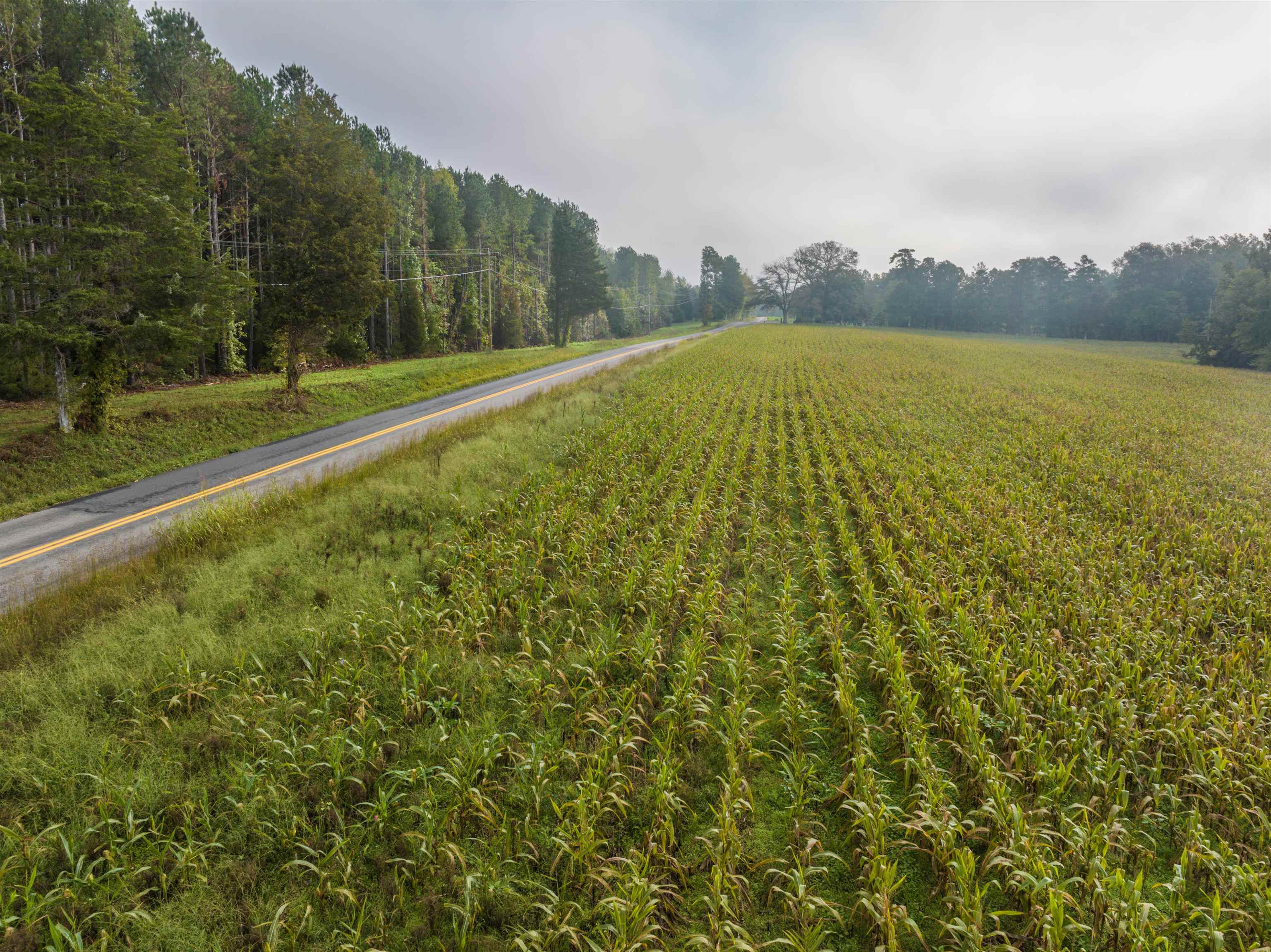 Tbd Courthouse Road Palmyra, VA 22963 - Photo 10 of 40 a view of a field with an ocean