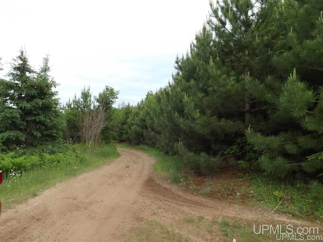 Tbd Off Indian Road Lanse, MI 49946 - Photo 6 of 14