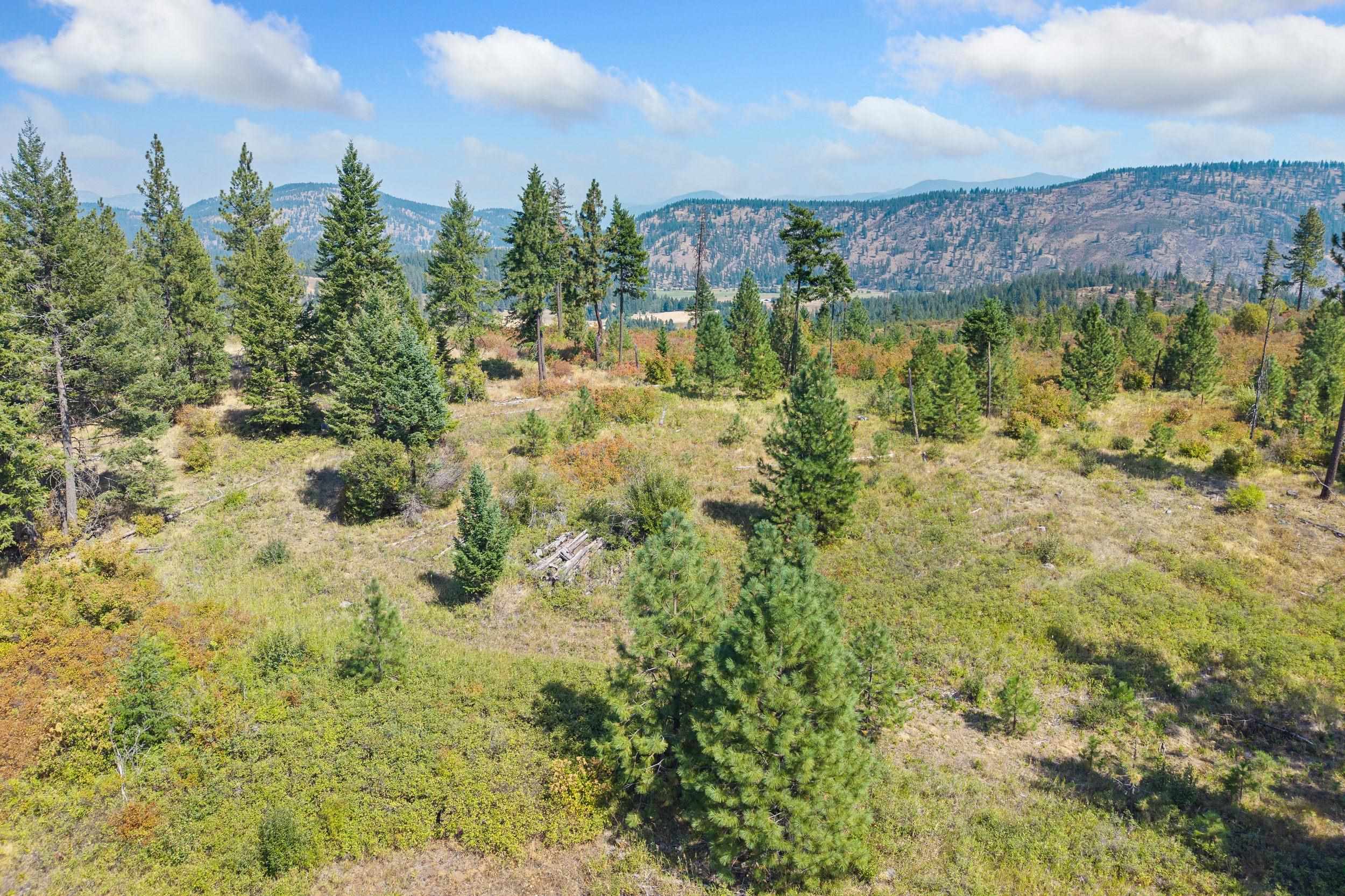 Nka Hoag Road Valley, WA 99181 - Photo 26 of 35 Gallery Image 26