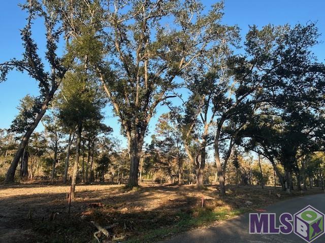 14281 Old River Road Maurepas, LA 70449 - Photo 12 of 14