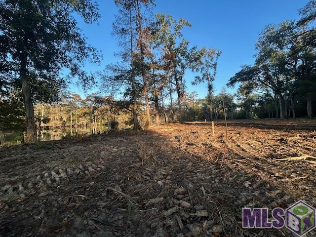 14281 Old River Road Maurepas, LA 70449 - Photo 3 of 12