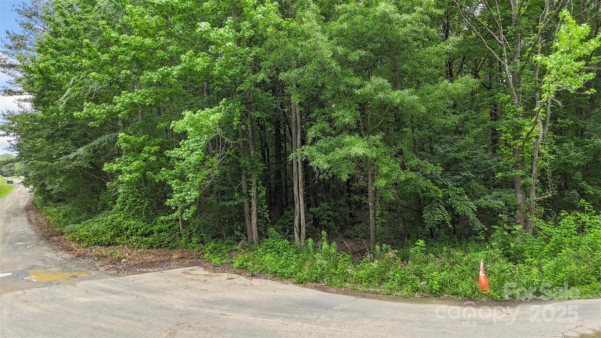 24 Moser Circle Indian Trail, NC 28079 - Photo 11 of 17 a view of forest