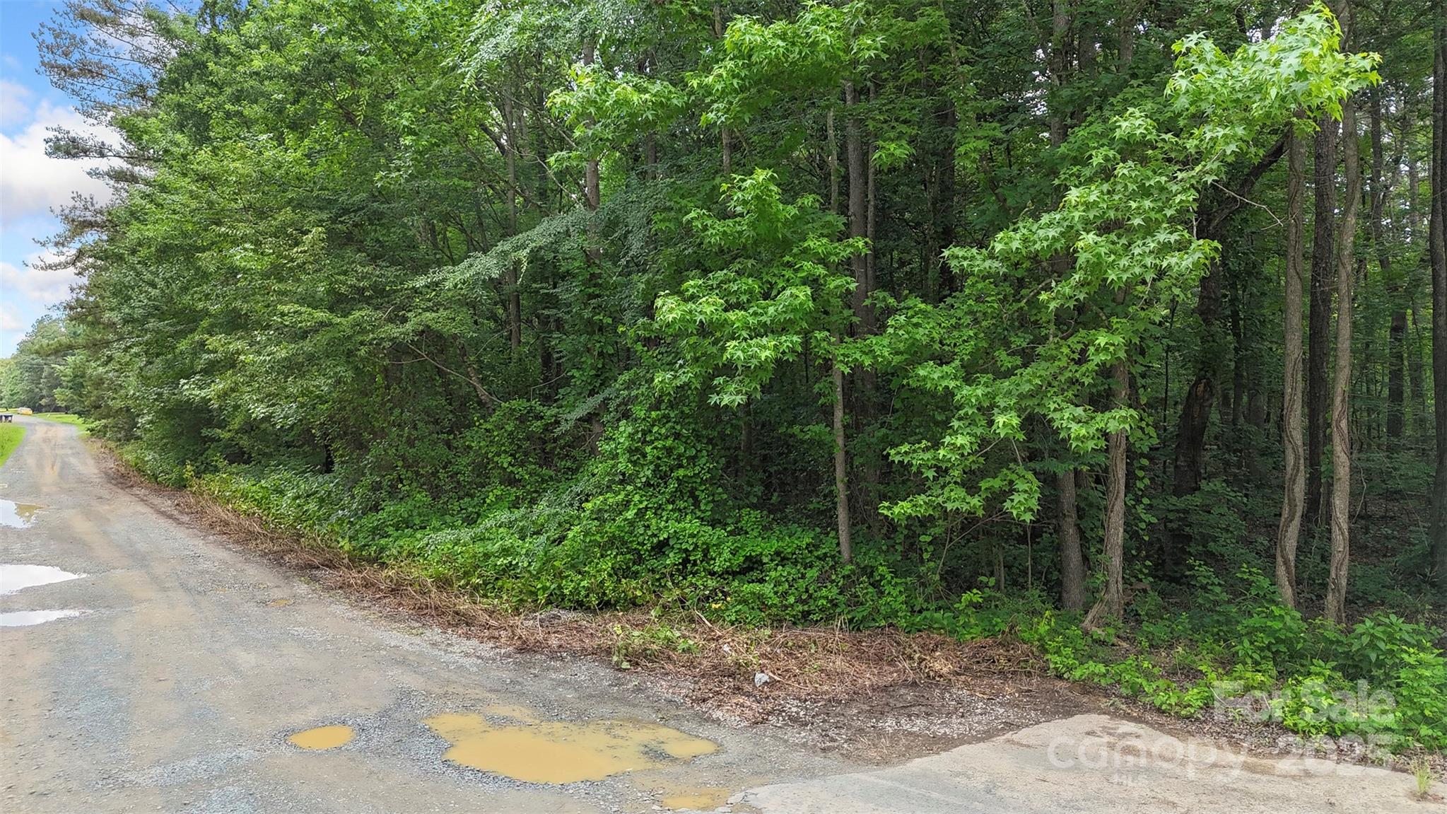 24 Moser Circle Indian Trail, NC 28079 - Photo 14 of 17 a view of a yard with plants and large trees