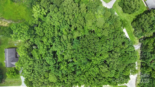 a view of a lush green forest