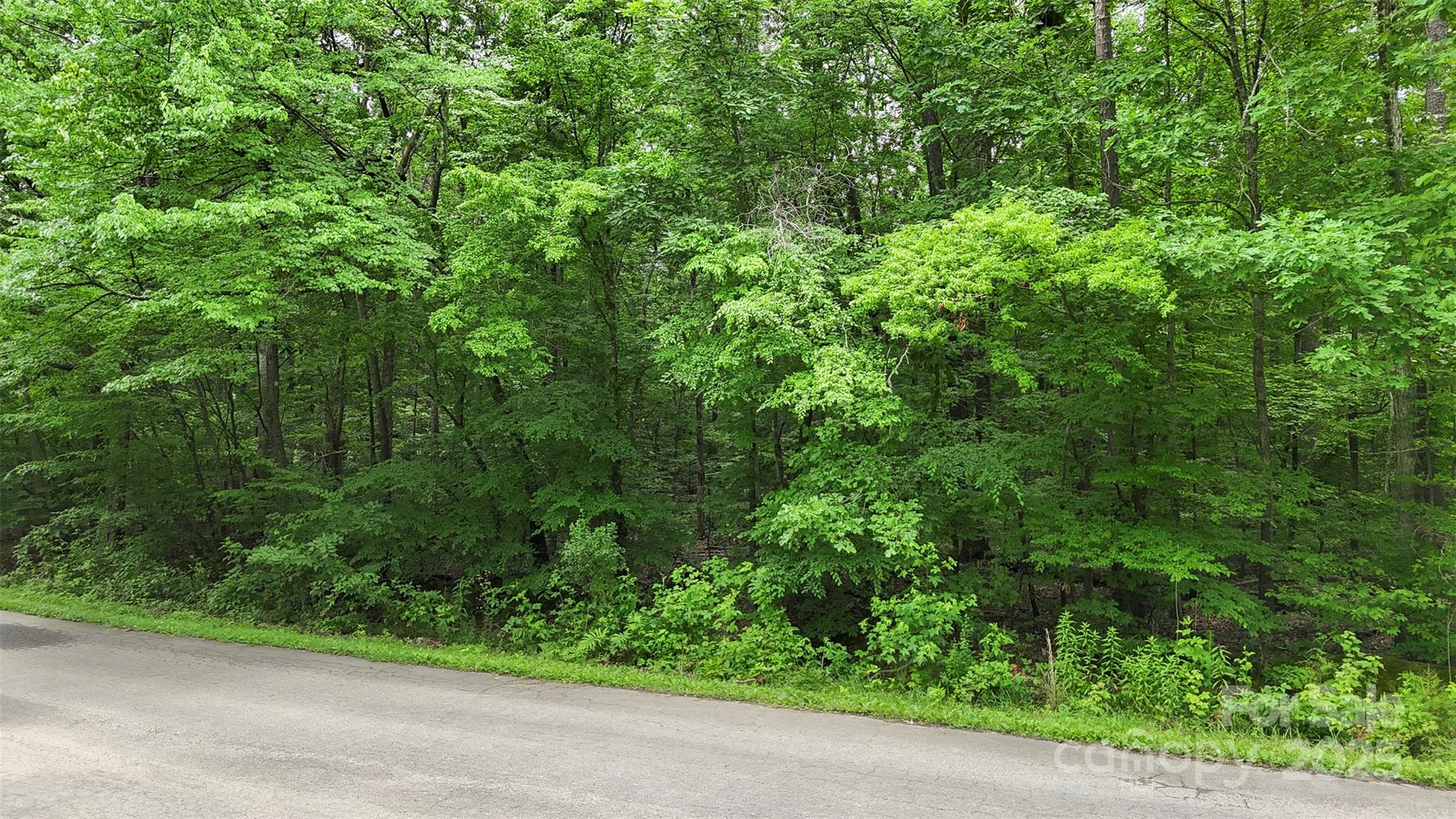 24 Moser Circle Indian Trail, NC 28079 - Photo 10 of 17 a view of a garden
