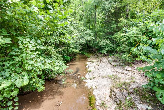 7378 Walker Road Fairview, TN 37062 - Photo 19 of 20 One of two creeks running through this land. Can't beat the natural beauty of this property.