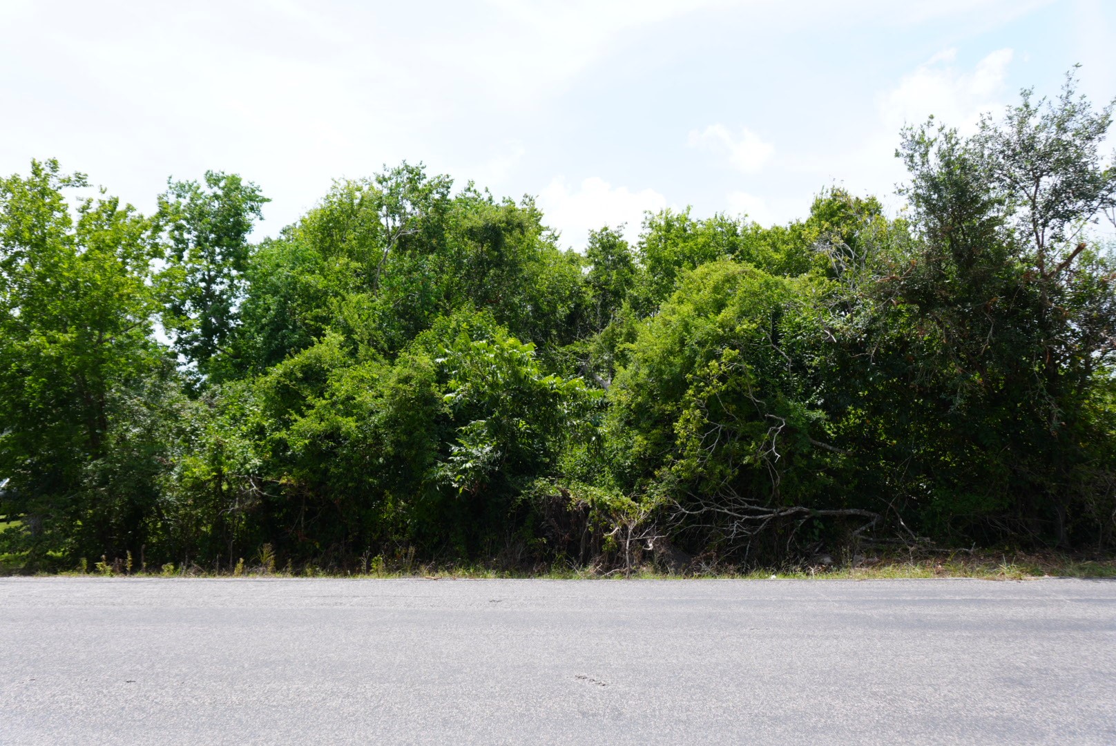 5128 Pearson Road Santa Fe, TX 77517 - Photo 2 of 5 a view of a yard
