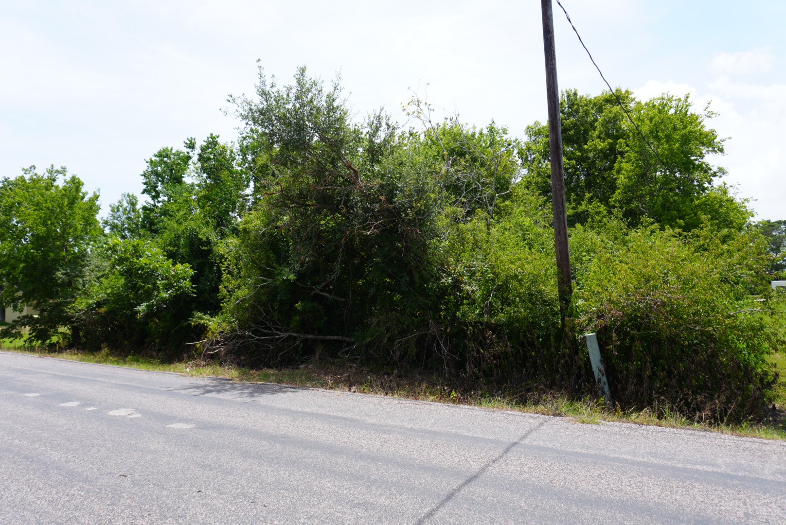 5128 Pearson Road Santa Fe, TX 77517 - Photo 3 of 5 a view of backyard with green space
