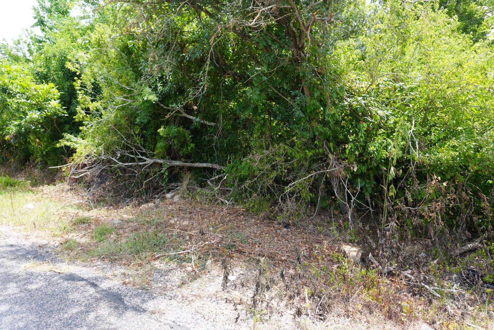 5128 Pearson Road Santa Fe, TX 77517 - Photo 5 of 5 a view of outdoor space and trees