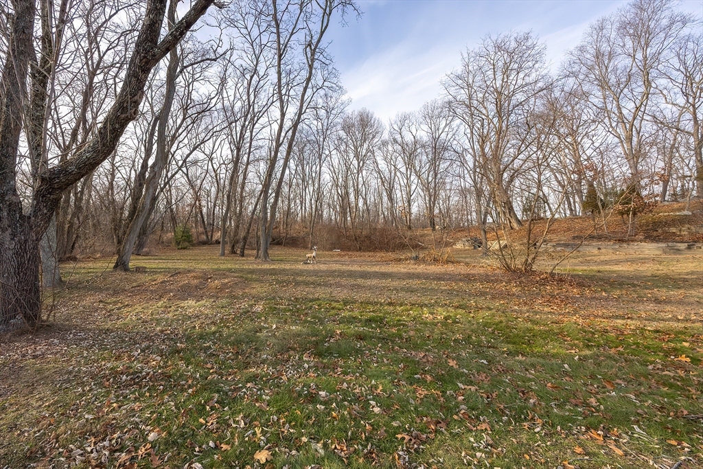 1123 County Street Attleboro, MA 02703 - Photo 20 of 20 a view of outdoor space with lots of trees