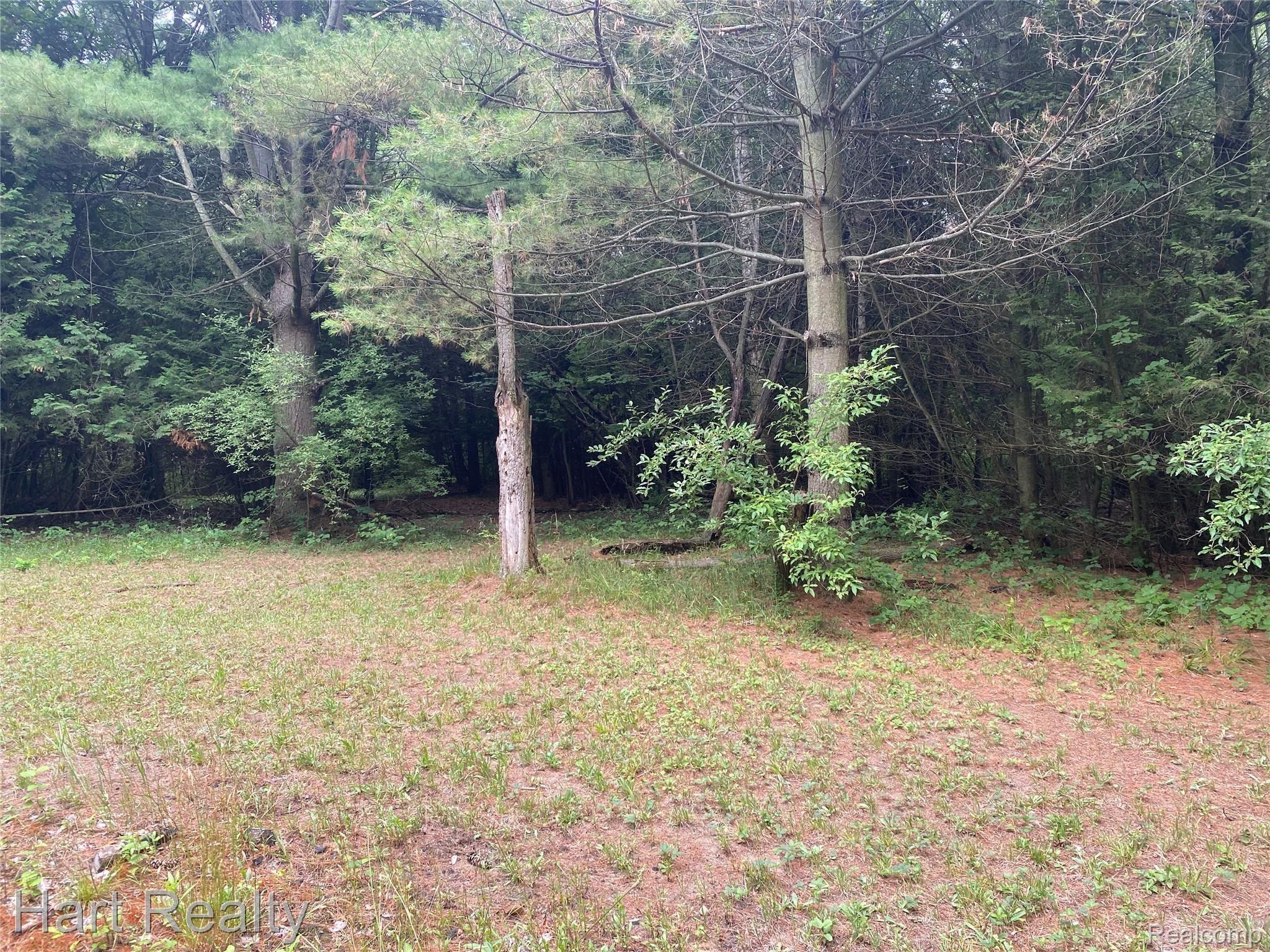 1910 South Lakeshore Road Carsonville, MI 48419 - Photo 26 of 33 3AE4E19F-04AB-4EB2-AB0B-D87C2A4D8C16.jpeg