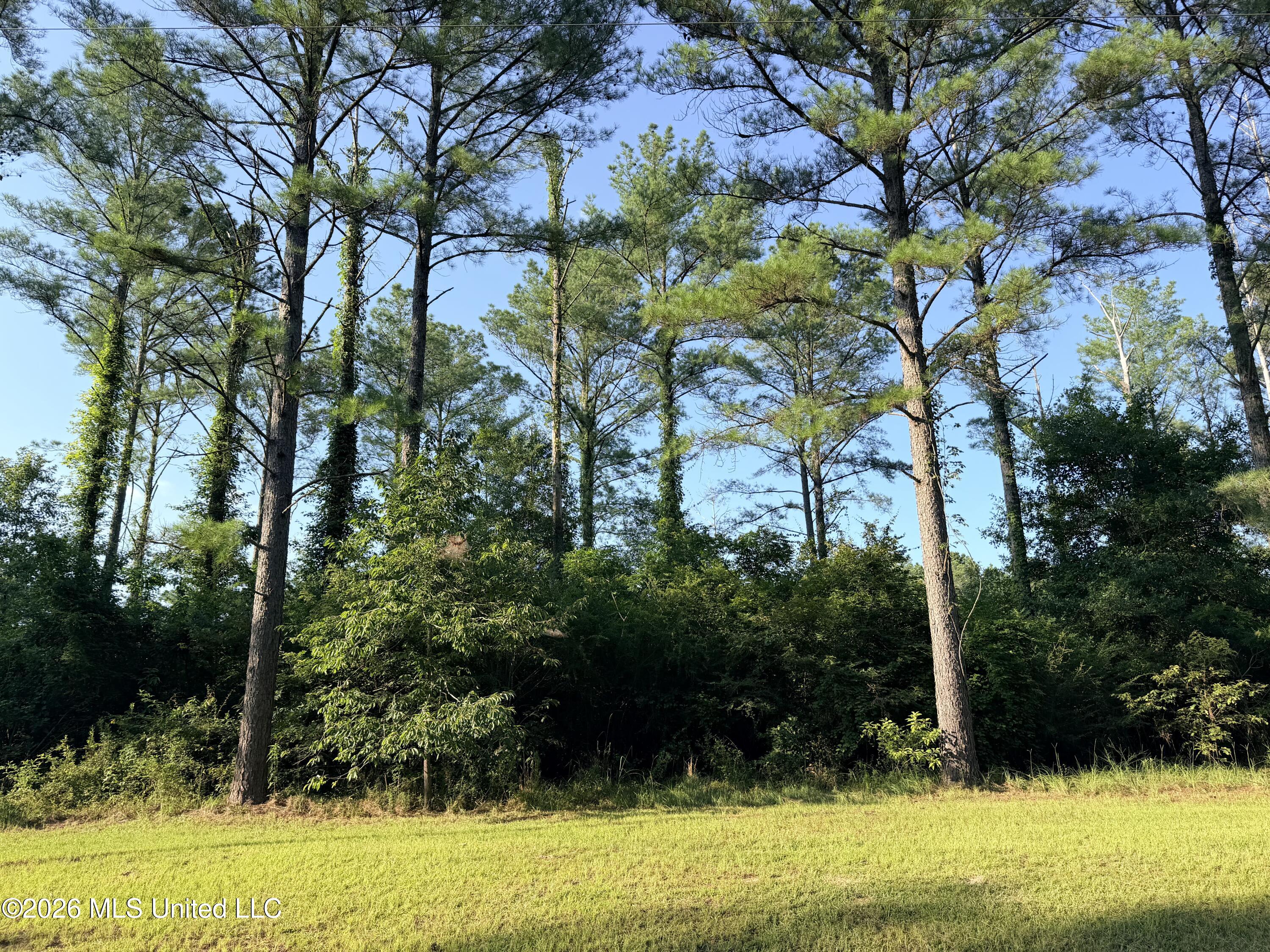 Lake Springwater Drive Brandon, MS 39042 - Photo 2 of 10 IMG_3644