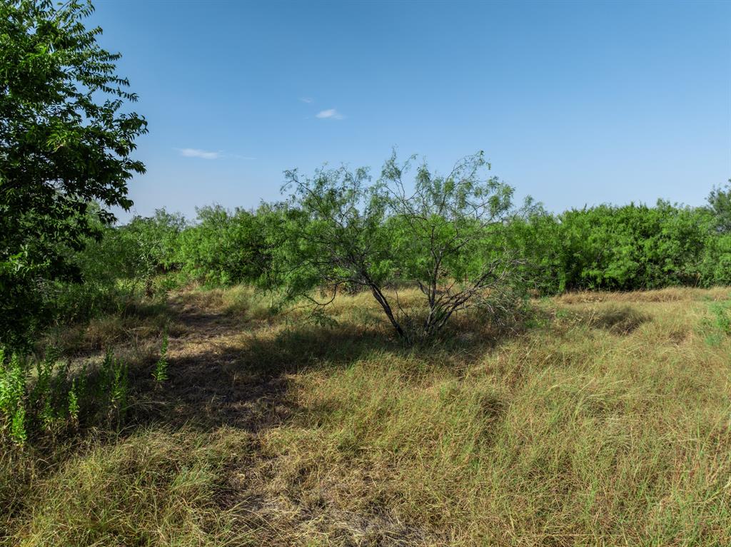205 Rabbit Run Woodway, TX 76712 - Photo 6 of 40 Gallery Image 6