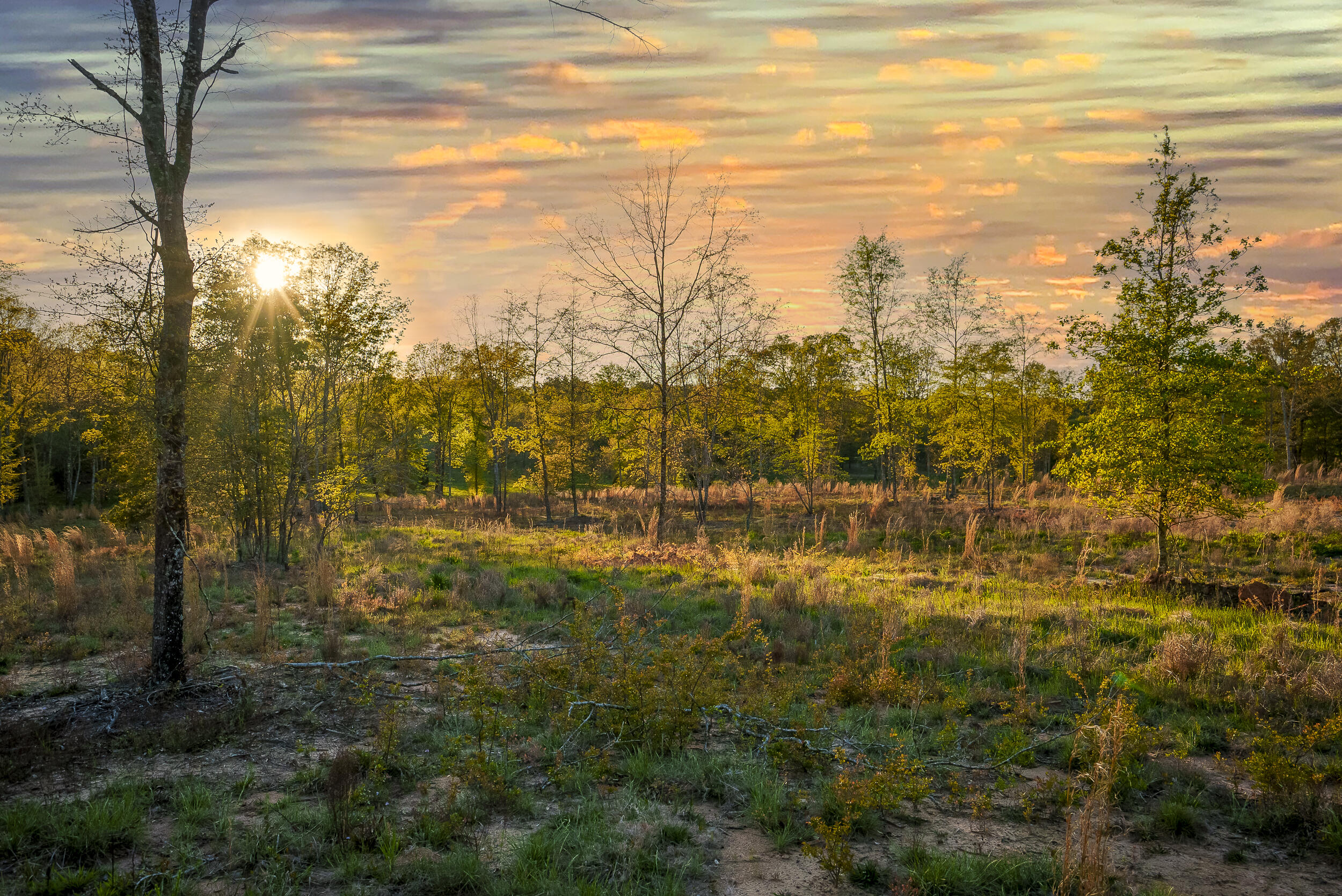 0 Implement Road Aiken, SC 29803 - Photo 9 of 38 a view of lake view