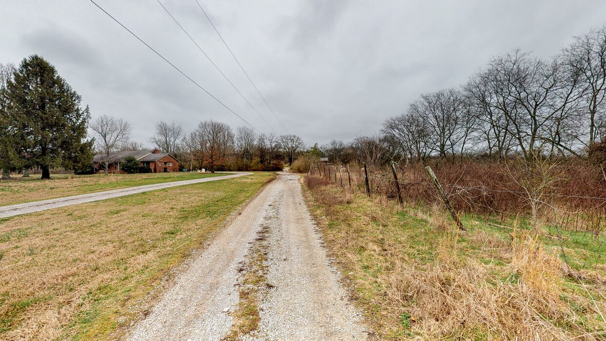 1009 Old Kedron Road Spring Hill, TN 37174 - Photo 4 of 13 a view of a yard with plants and large trees