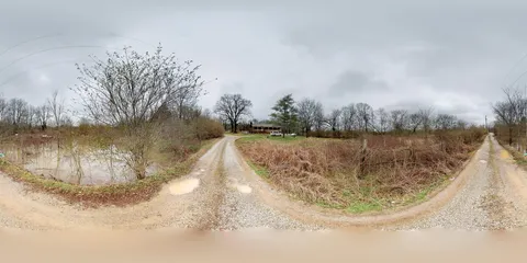 a view of a lake from a yard