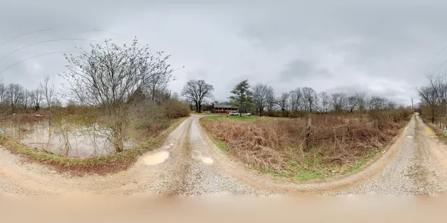 a view of a lake from a yard