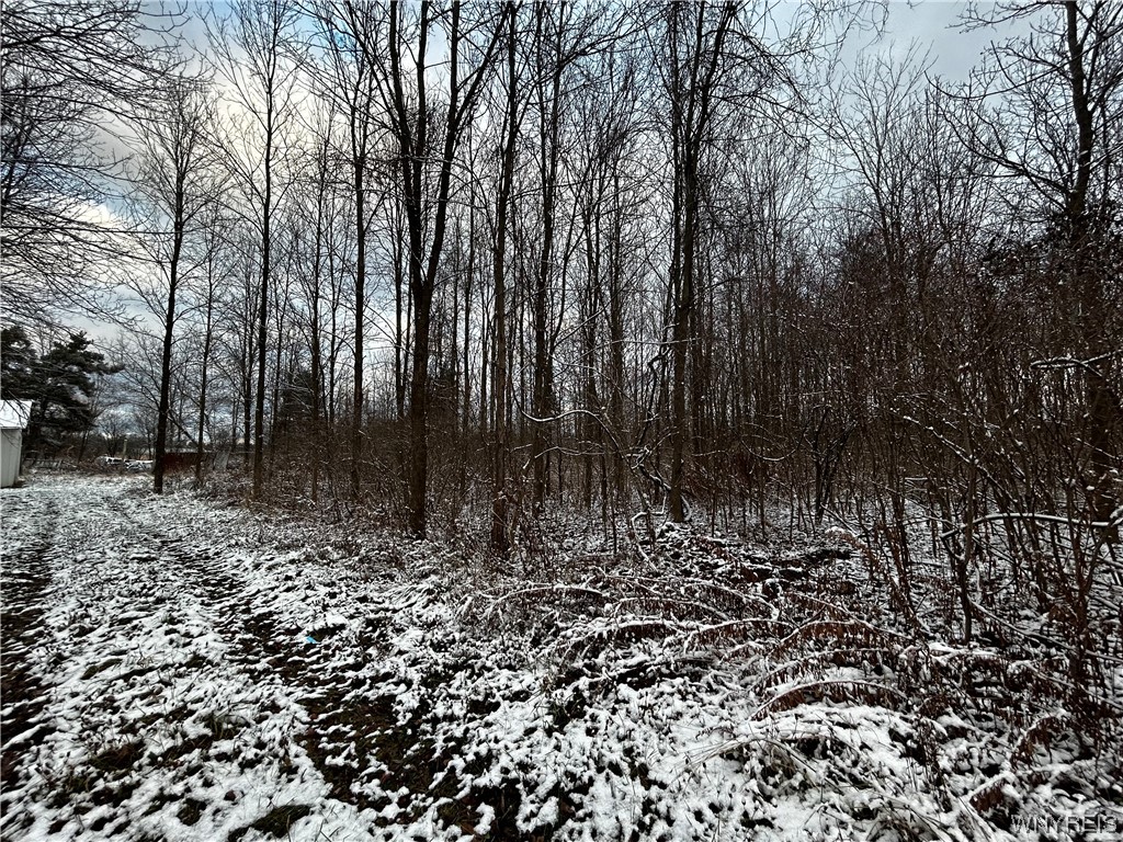 4095 Broadway Road Alexander, NY 14005 - Photo 3 of 13