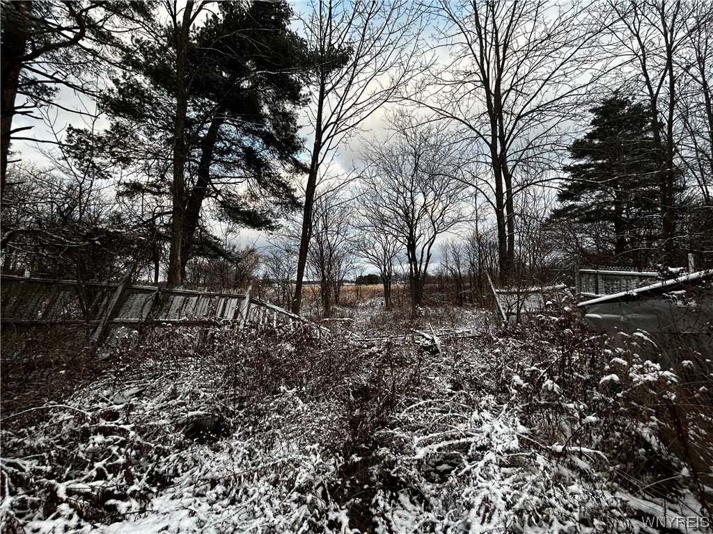 4095 Broadway Road Alexander, NY 14005 - Photo 7 of 13