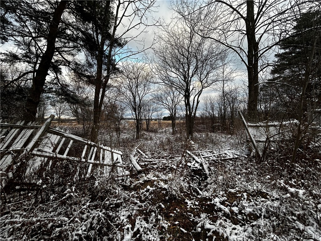 4095 Broadway Road Alexander, NY 14005 - Photo 8 of 13