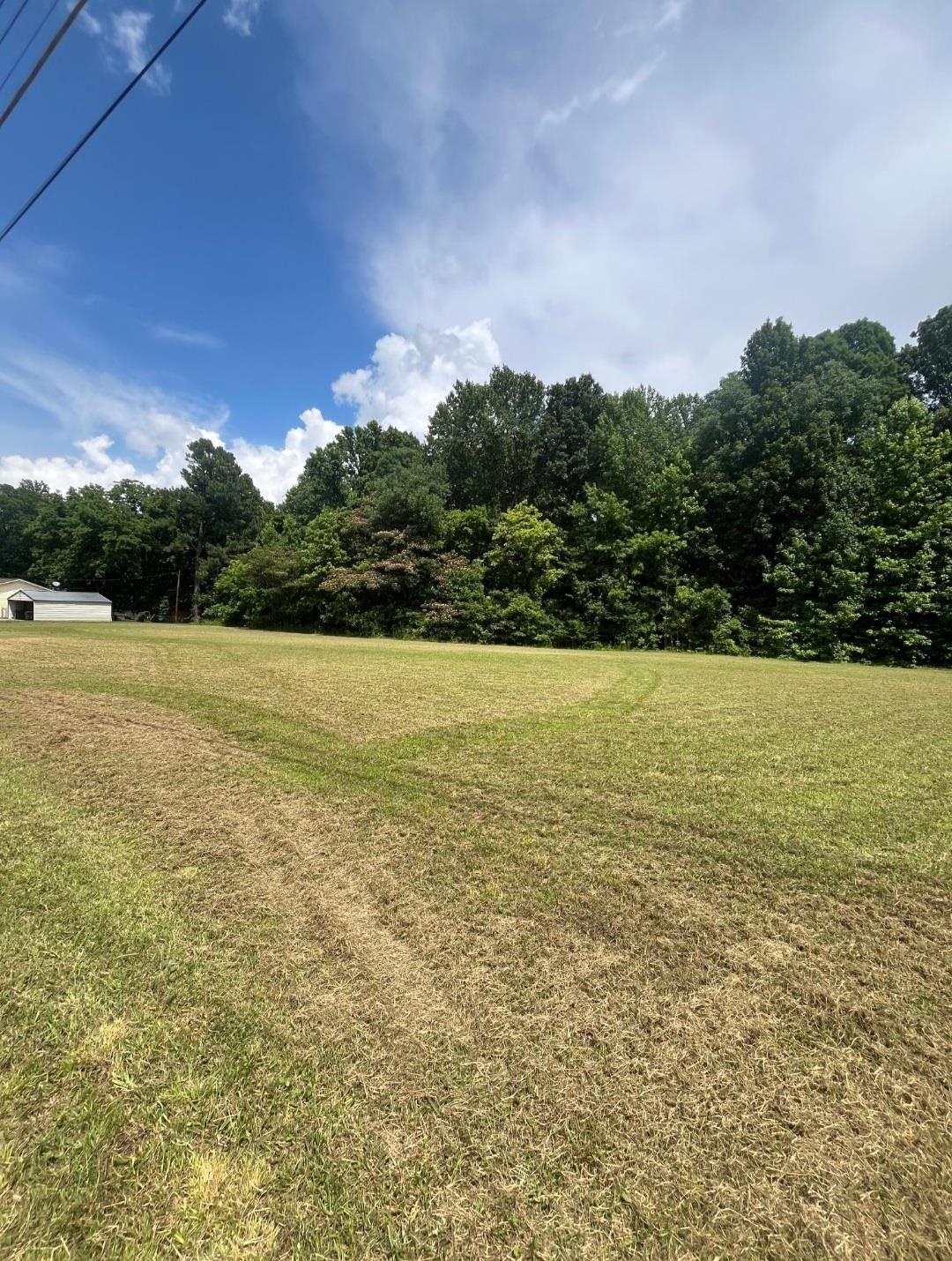 0 Grimes Road Drummonds, TN 38023 - Photo 3 of 3