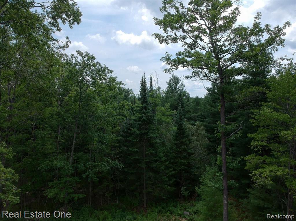 0 South Morrison Road West Branch, MI 48661 - Photo 34 of 38