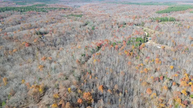 a view of a dry yard
