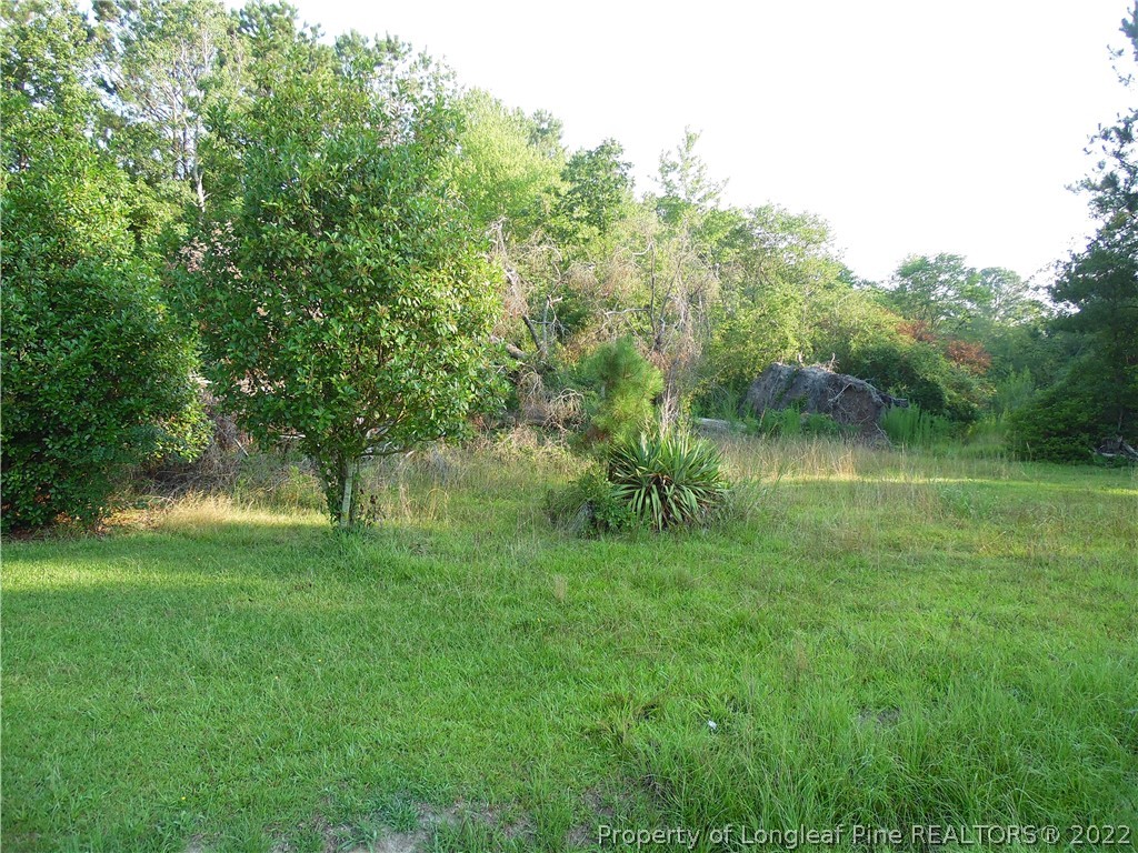216 Forte Road Stedman, NC 28391 - Photo 1 of 6 a view of a lush green space