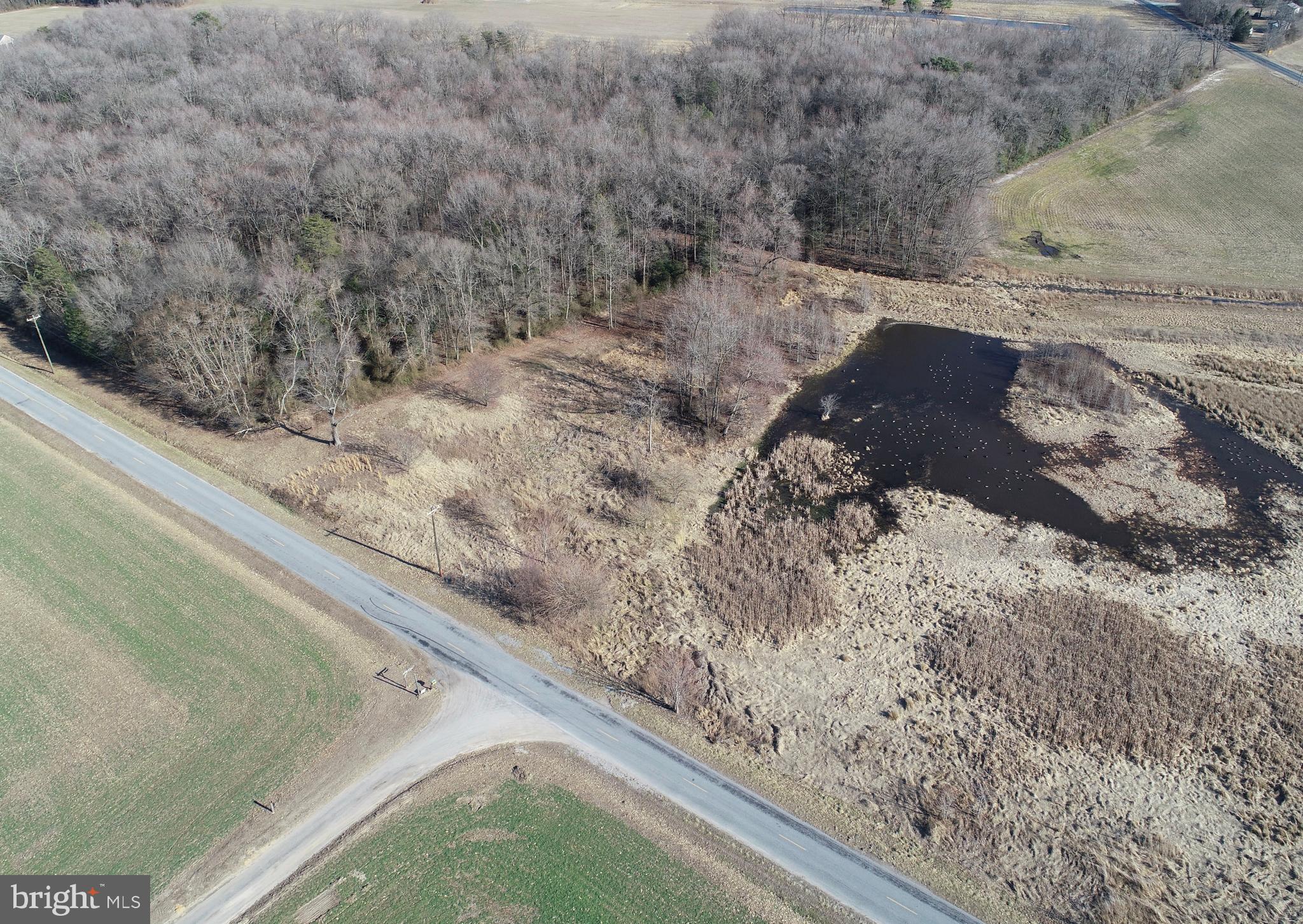5.281 Acres Schulyer Road Goldsboro, MD 21636 - Photo 1 of 6