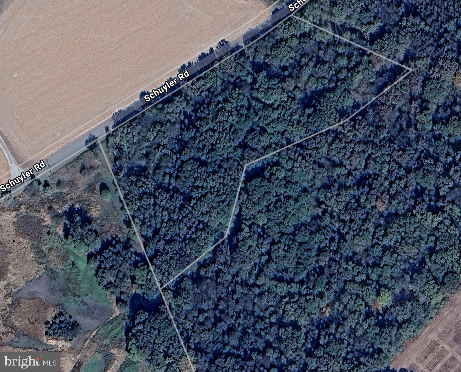 5.281 Acres Schulyer Road Goldsboro, MD 21636 - Photo 2 of 6