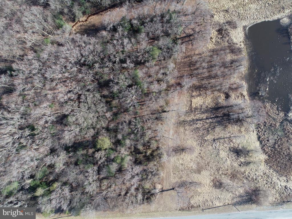 5.281 Acres Schulyer Road Goldsboro, MD 21636 - Photo 4 of 6