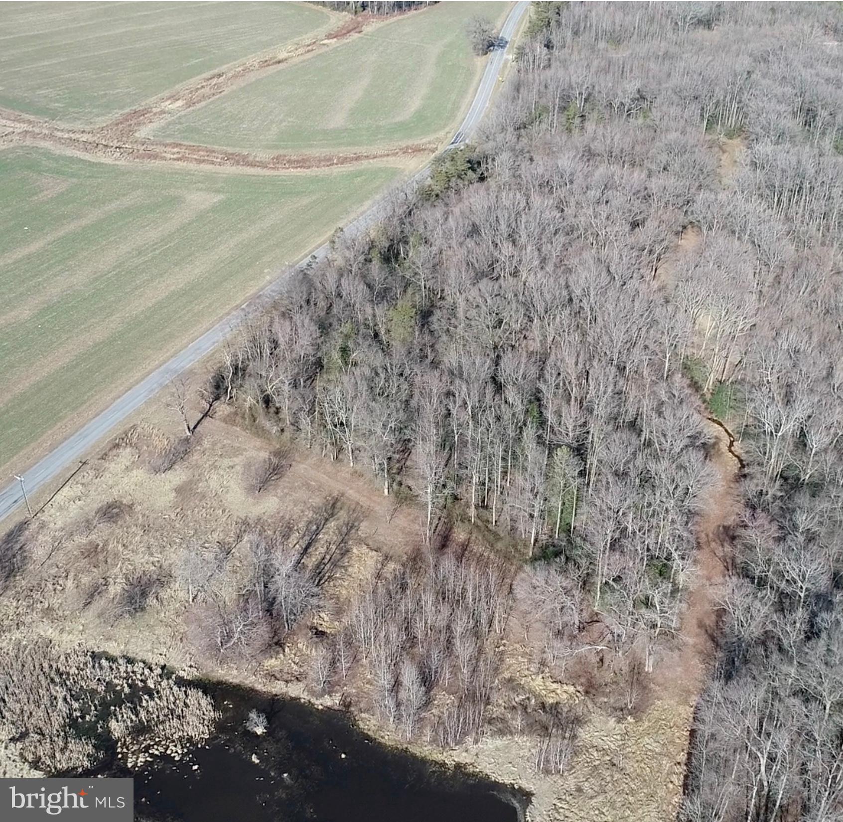 5.281 Acres Schulyer Road Goldsboro, MD 21636 - Photo 5 of 6