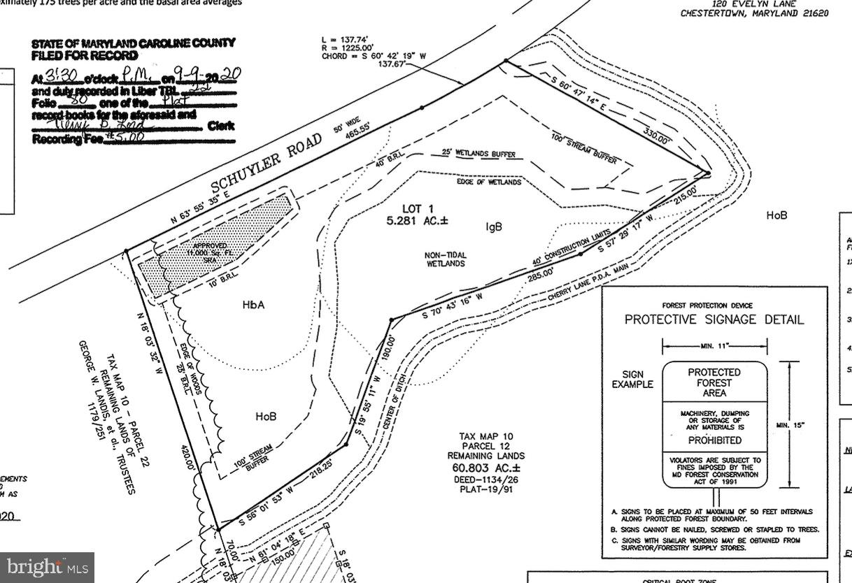 5.281 Acres Schulyer Road Goldsboro, MD 21636 - Photo 6 of 6