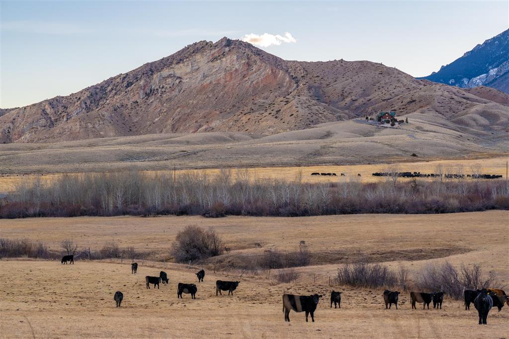 409 North Tolman Road Powell, WY 82435 - Photo 94 of 116 Gallery Image 94