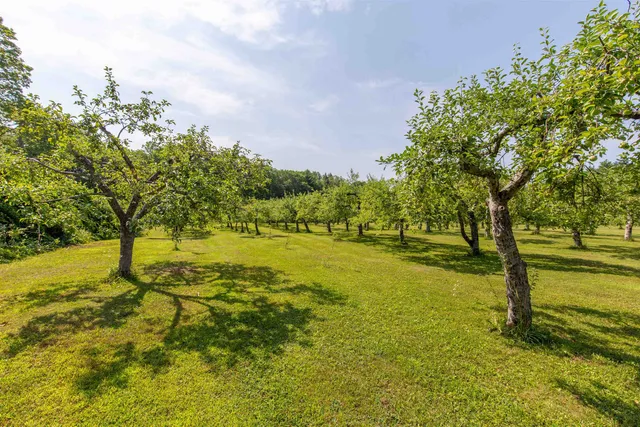 $1,190,000 | 55 Hollow Hill Road, Tamworth, NH 03886