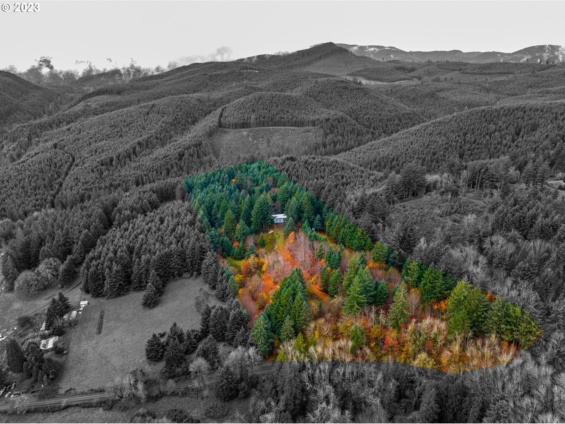 4011 Lucas Road Falls City, OR 97344 - Photo 1 of 27 Gallery Image 1