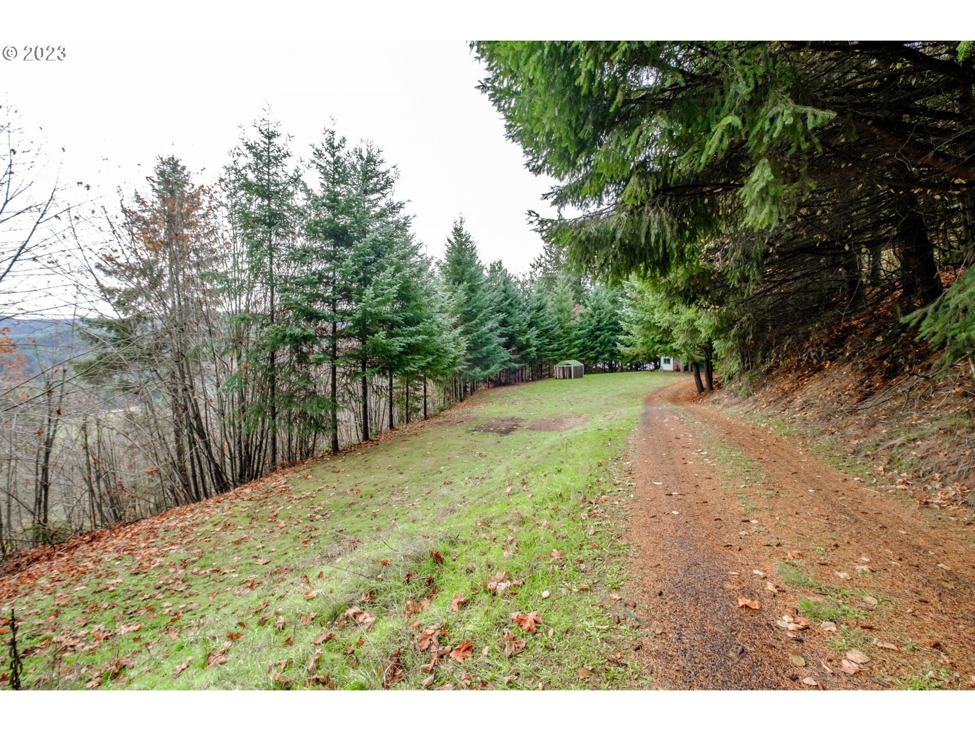 4011 Lucas Road Falls City, OR 97344 - Photo 11 of 27 Gallery Image 11