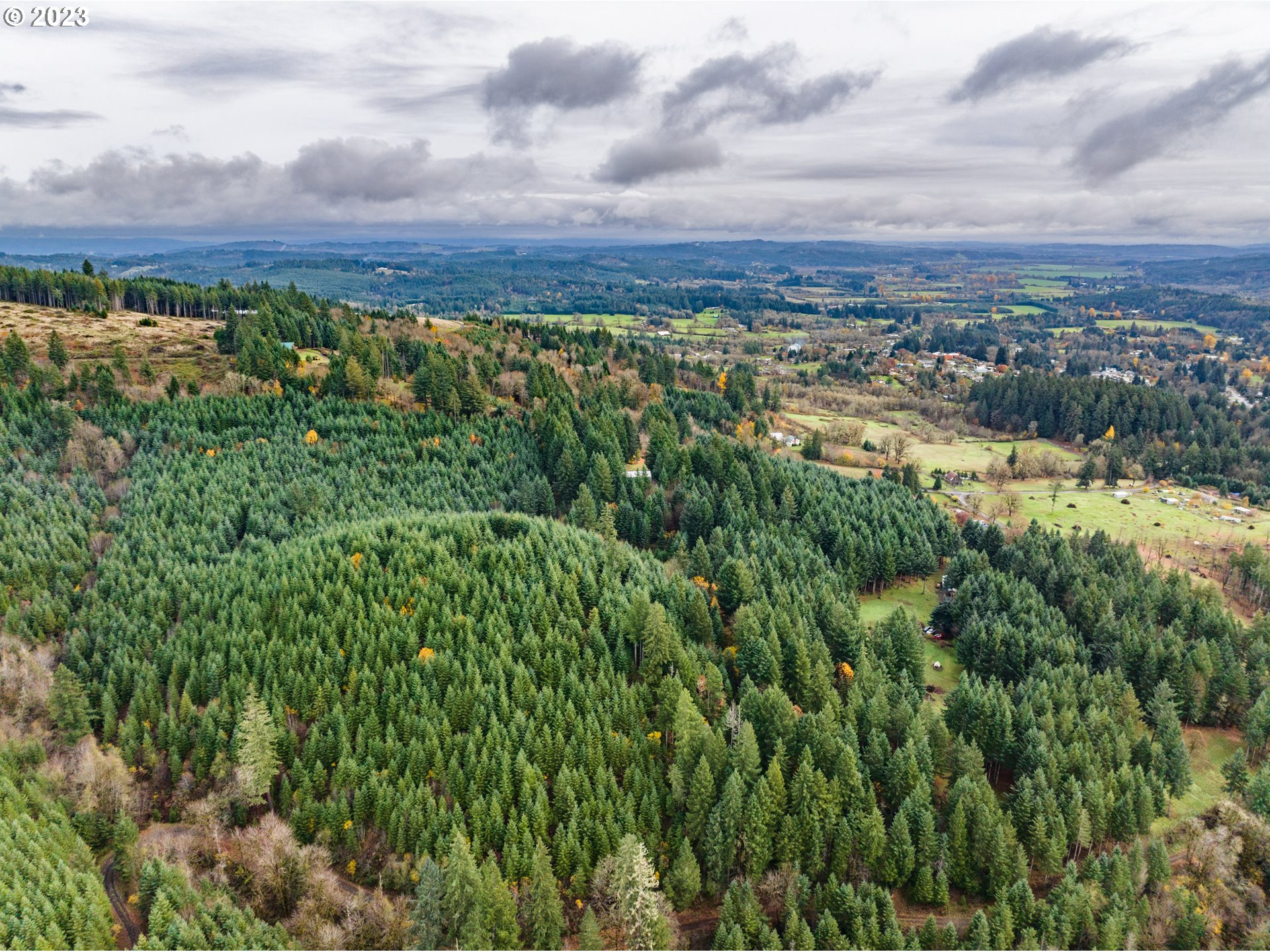 4011 Lucas Road Falls City, OR 97344 - Photo 4 of 27 Gallery Image 4