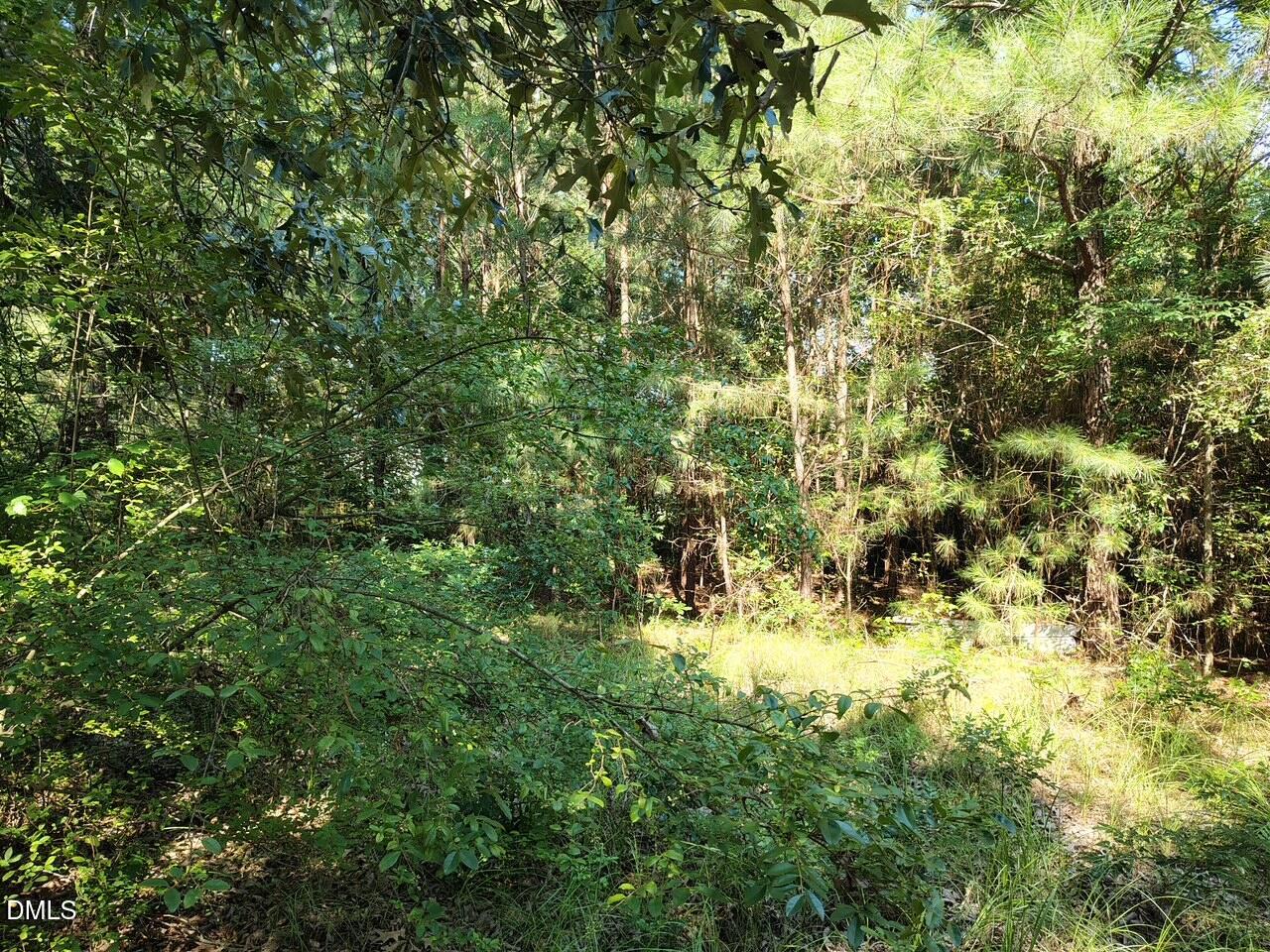 486 Creech Johnson Road Zebulon, NC 27597 - Photo 8 of 10 image4