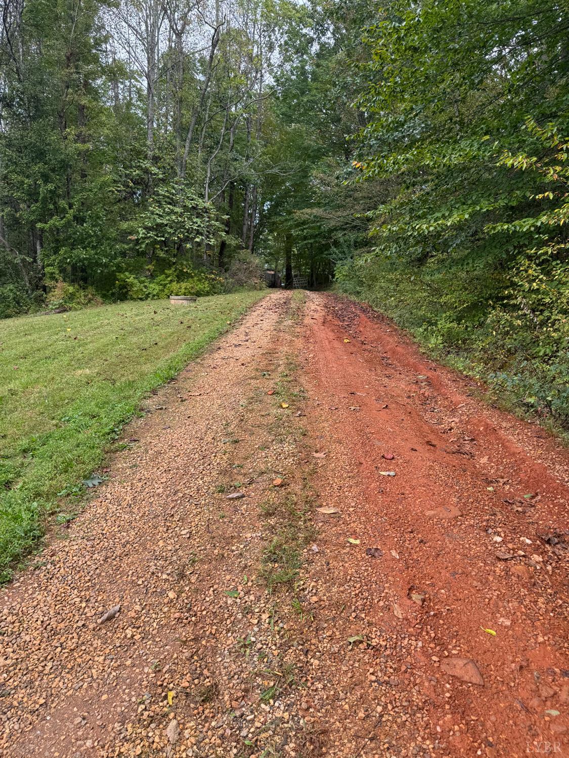 2417 Hunting Lodge Road Schuyler, VA 22969 - Photo 18 of 24 a view of a backyard with a trees