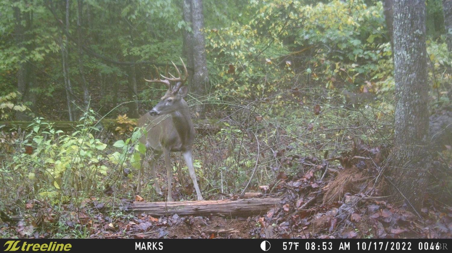2417 Hunting Lodge Road Schuyler, VA 22969 - Photo 19 of 24 a bird view of field
