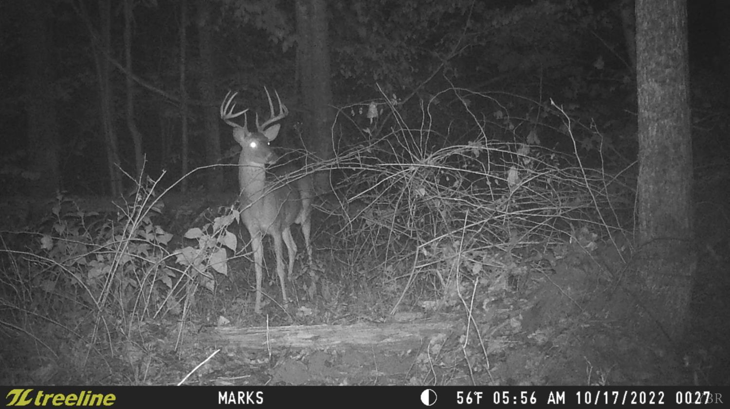 2417 Hunting Lodge Road Schuyler, VA 22969 - Photo 20 of 24 a picture of a room