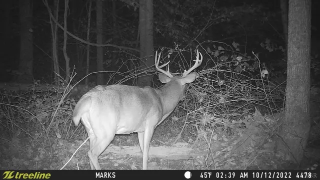 a view of a fireplace