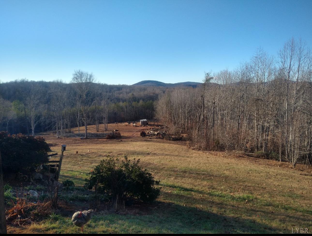 2417 Hunting Lodge Road Schuyler, VA 22969 - Photo 22 of 24 a view of a backyard with green space