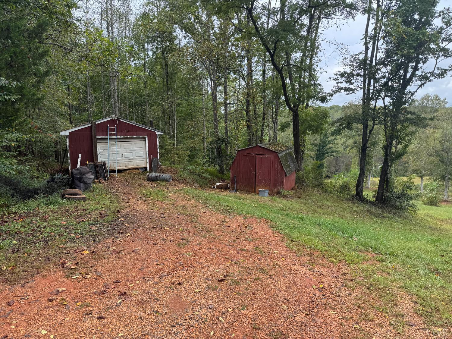 2417 Hunting Lodge Road Schuyler, VA 22969 - Photo 4 of 24 a view of a barn in the middle of a yard